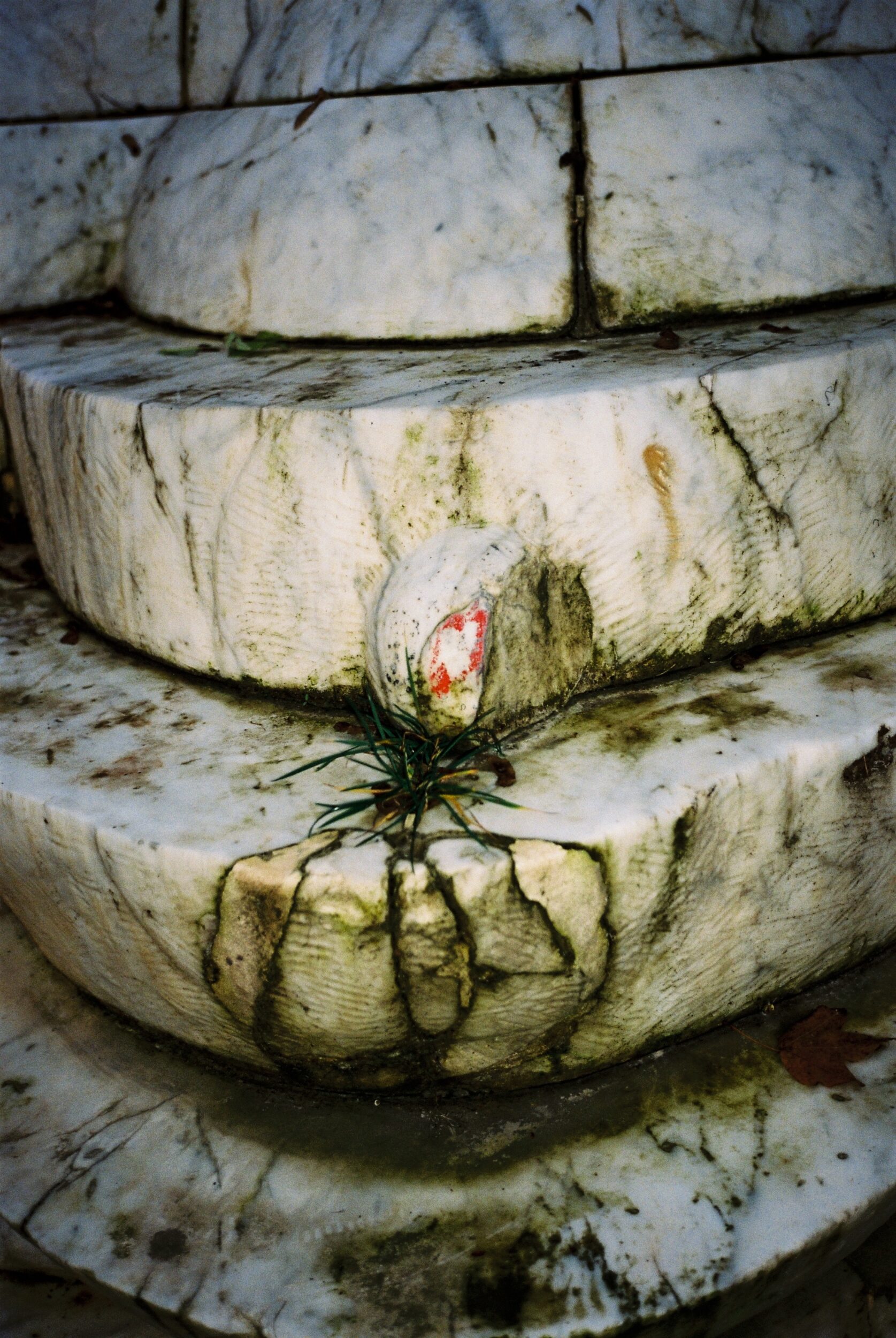 Mode Aléatoire #2 - Marie-Lou Chabert