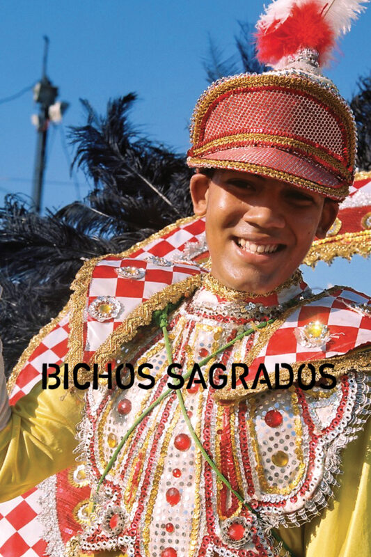Bichos Sagrados - Marie-Lou Chabert