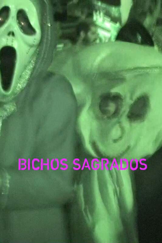 Bichos Sagrados - Marie-Lou Chabert