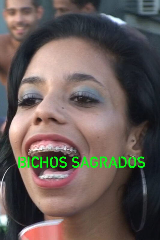 Bichos Sagrados - Marie-Lou Chabert